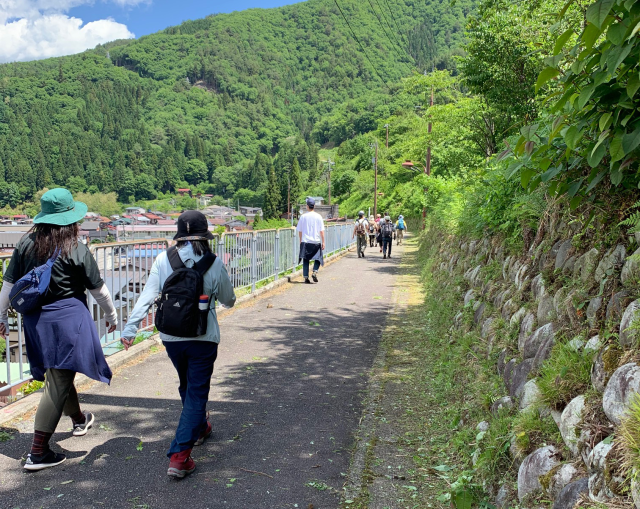 飛騨神岡でブラタナカ